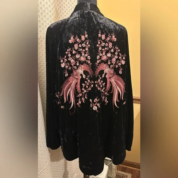 ODDY Anthropologie Black Velvet Garment - Picture 1 of 10